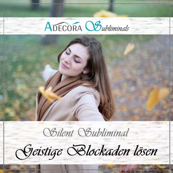 Silent Subliminal Basis Paket – Bild 2